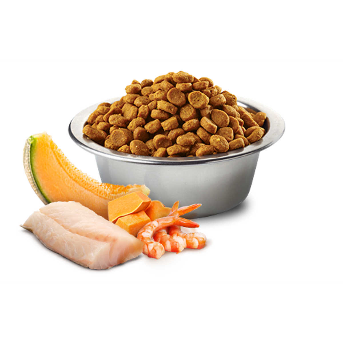 Farmina N&D Ocean Grain Free Kitten Cod, Shrimp, Pumpkin & Cantaloupe Cat Food