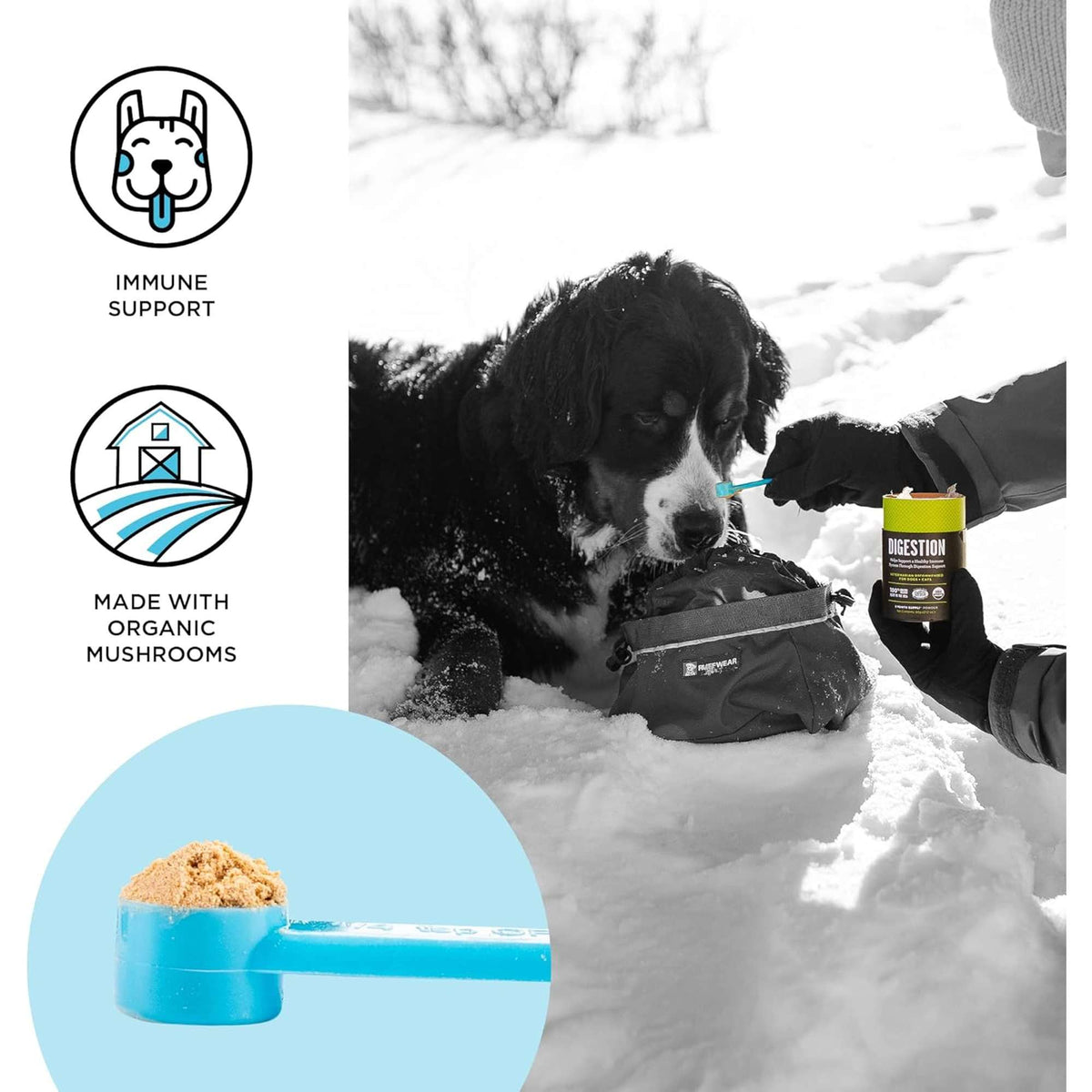 Bixbi Immunity Dog &amp; Cat Supplement