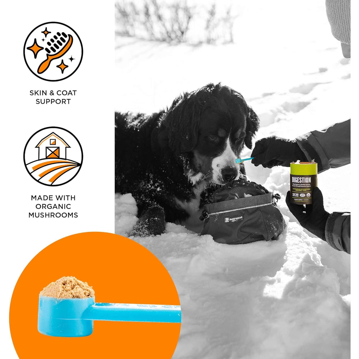 Bixbi Skin &amp; Coat Dog &amp; Cat Supplemnet