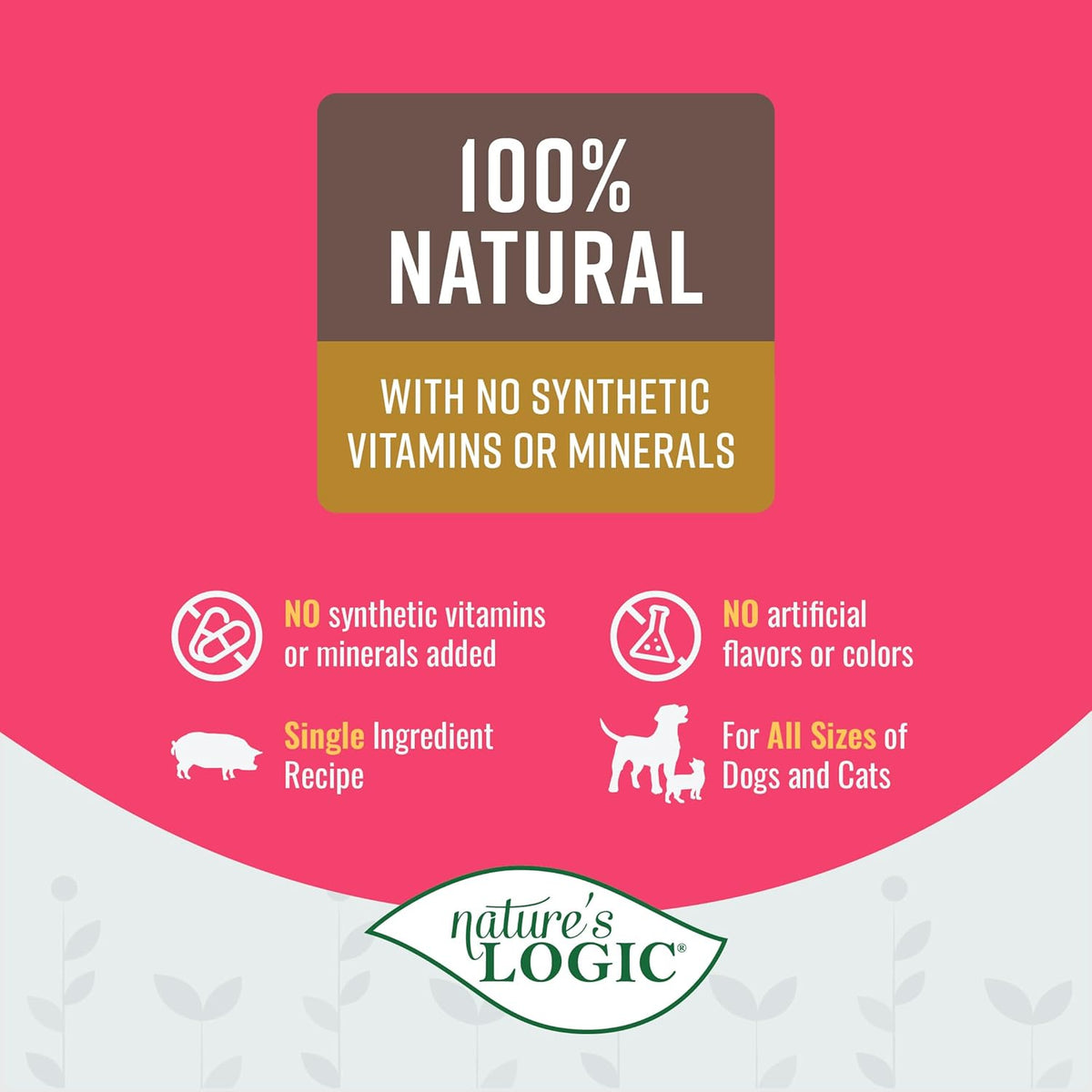 Nature&#39;s Logic Dehydrated Pork Bone Broth for Dogs &amp; Cats