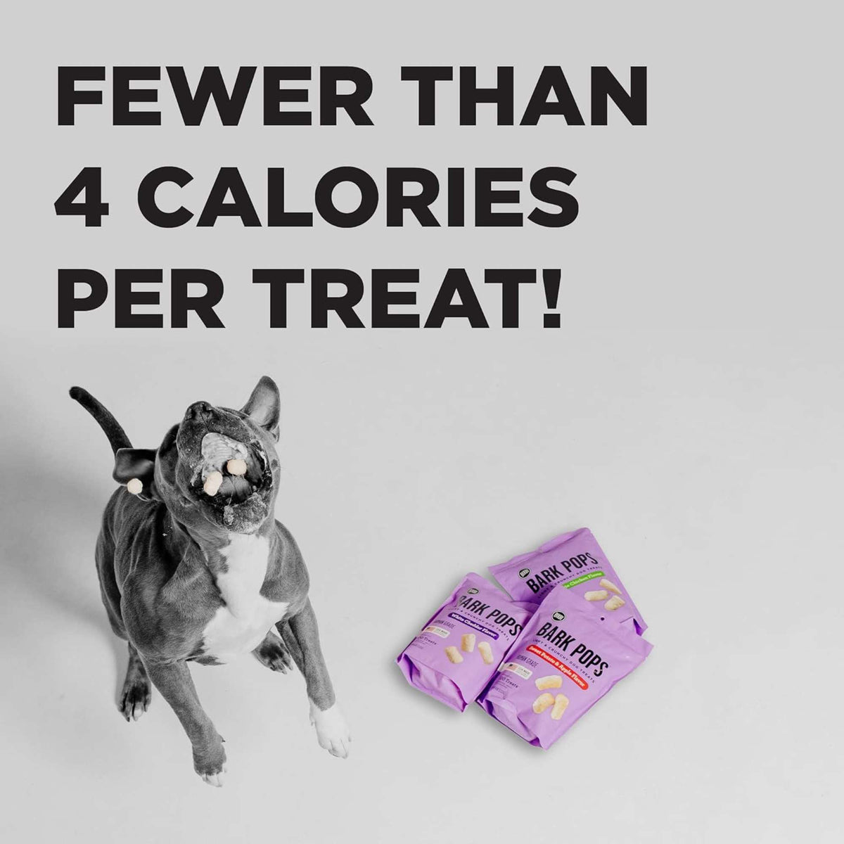 Bixbi Bark Pops Sweet Potato &amp; Apple Dog Treats