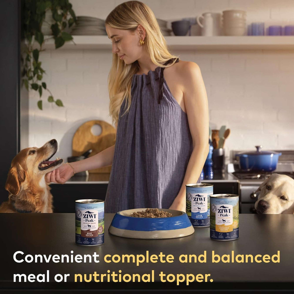 Ziwi Peak Venison Recipe Canned Dog Food