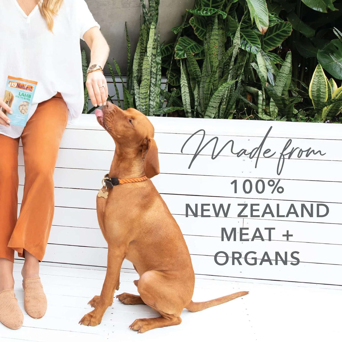 K9 Natural Air Dried Protein Bites Lamb Lung Dog Treats