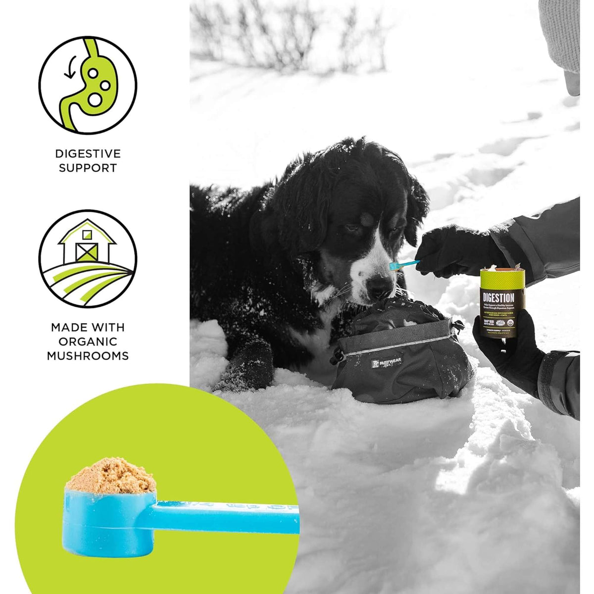 Bixbi Digestion Dog &amp; Cat Supplement