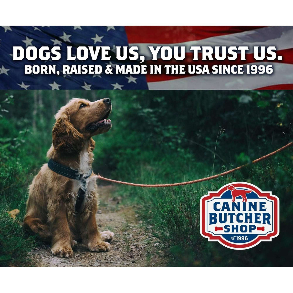 Canine Butcher Shop USDA Pig Ear Dog Chew
