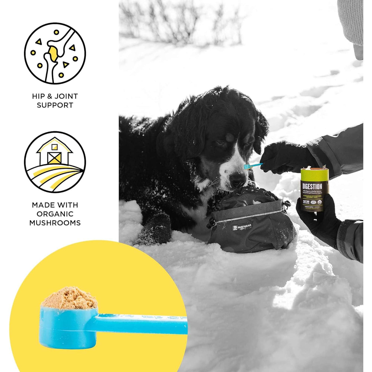 Bixbi Joints Dog &amp; Cat Supplement
