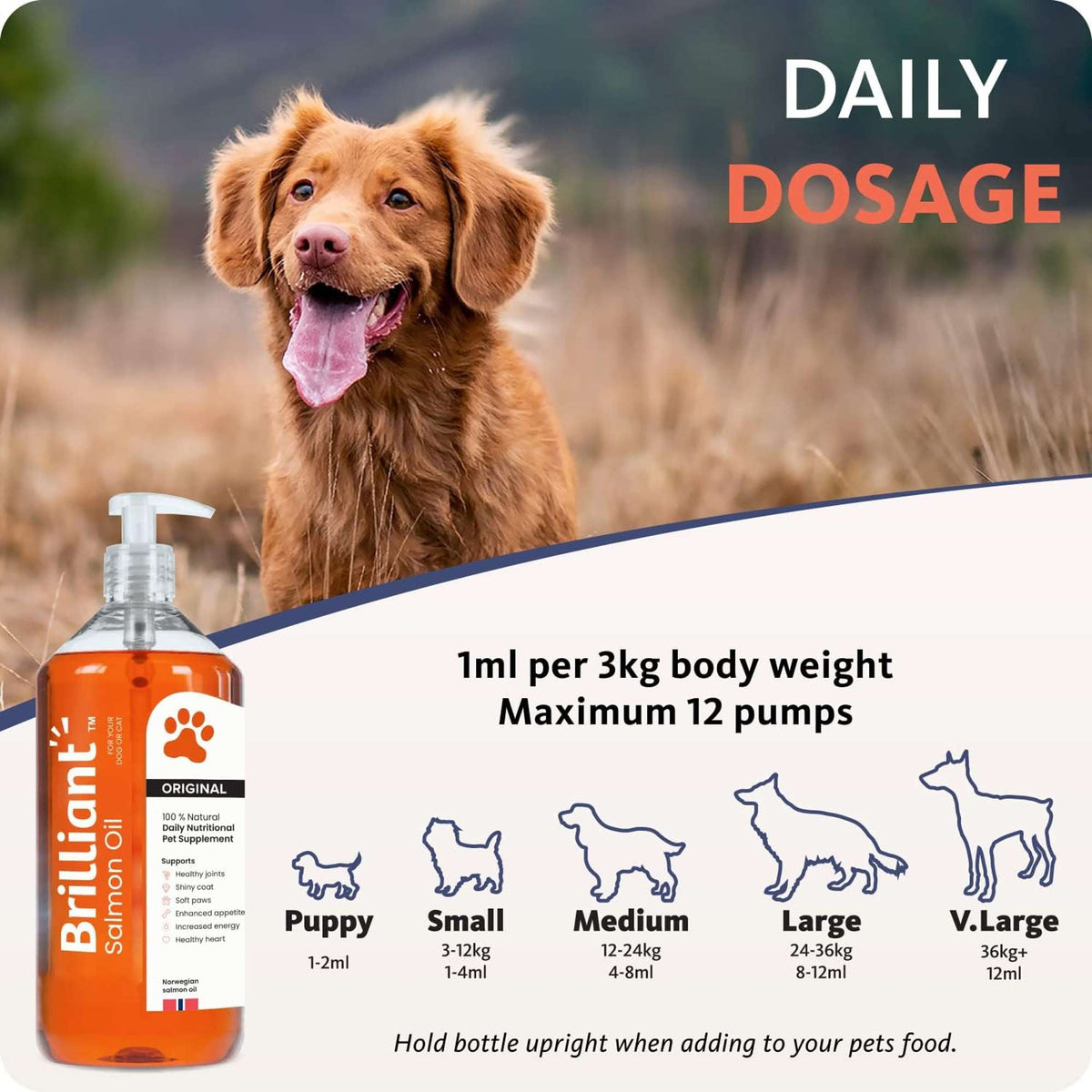 Brilliant Salmon Oil for Dogs and Cats
