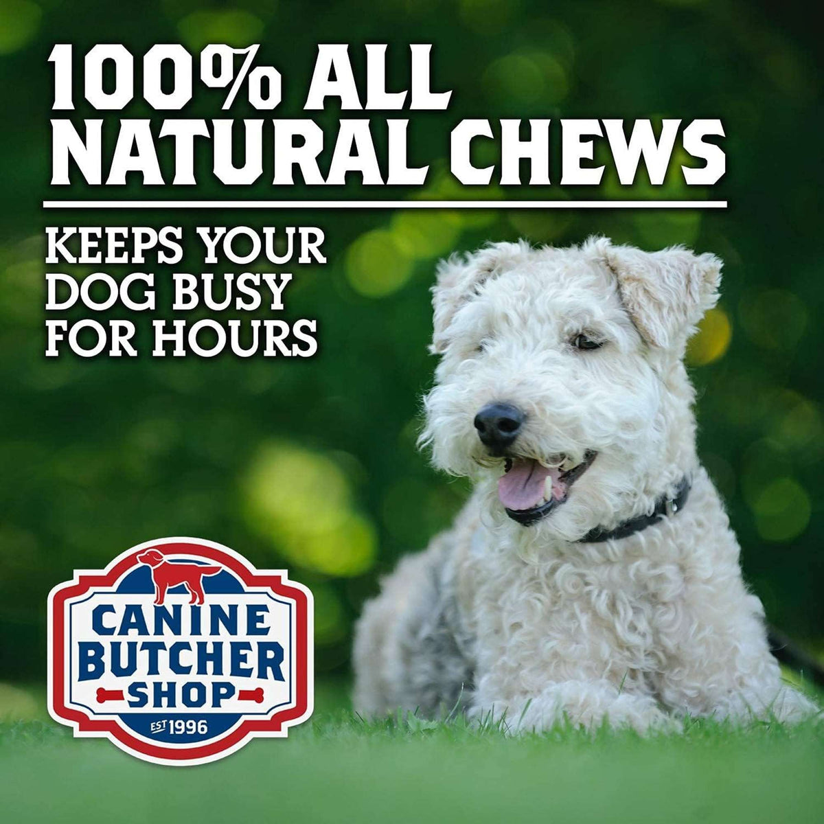 Canine Butcher Shop USDA Pig Ear Dog Chew