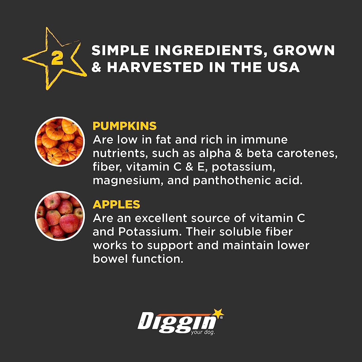 Diggin Your Dog Firm Up! Pumpkin Supplement for Dogs &amp; Cats