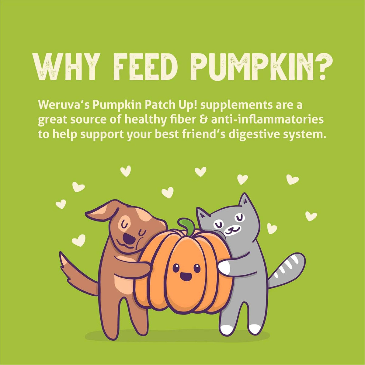 Weruva Pumpkin Patch Up! Variety Pack Dog &amp; Cat Food Supplement