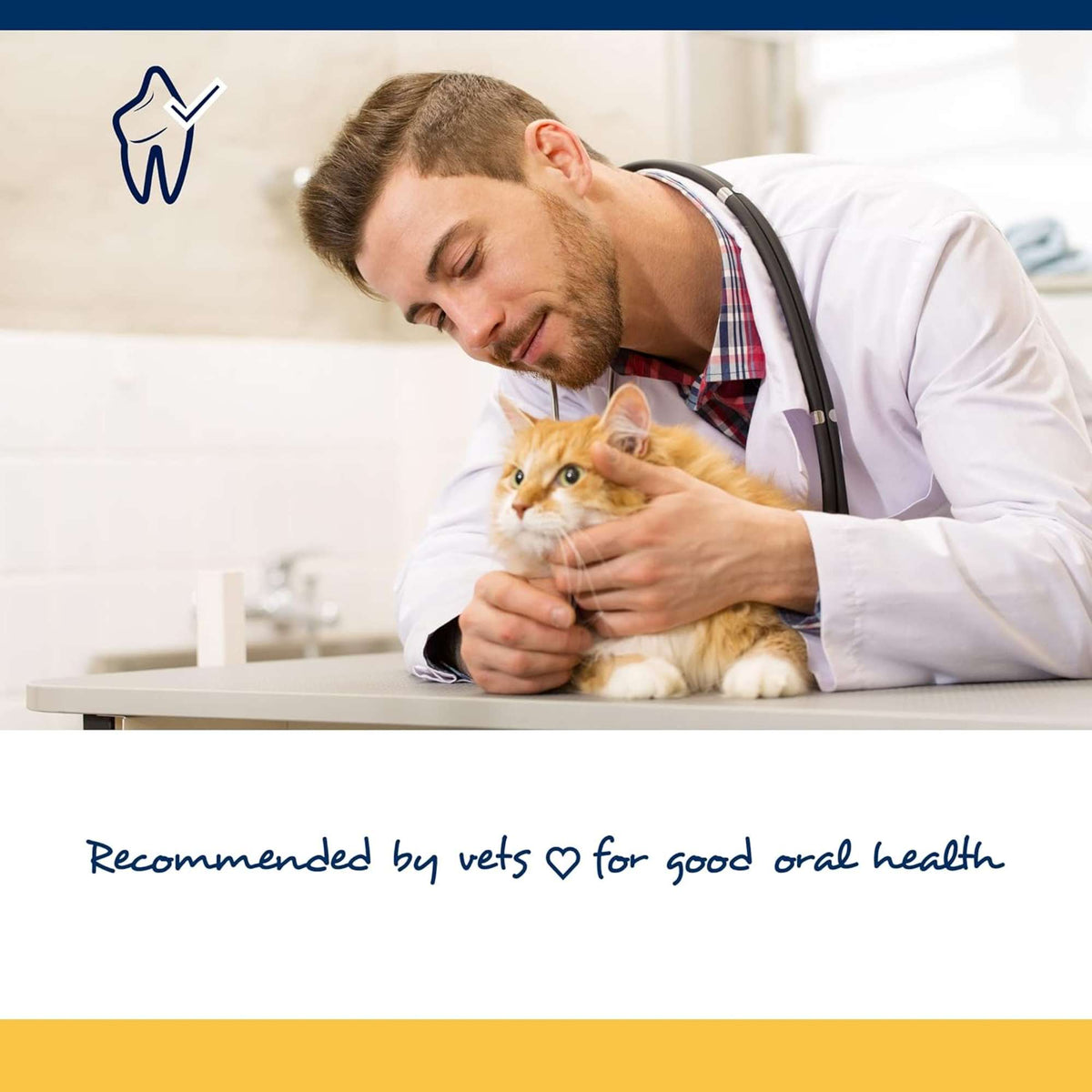 ProDen PlaqueOff Oral Care Soft Chews for Cat