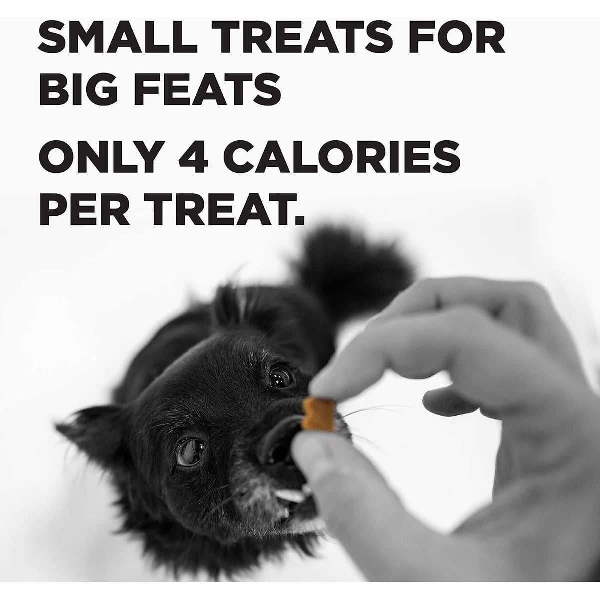 Bixbi Pocket Trainers Salmon Dog Treats