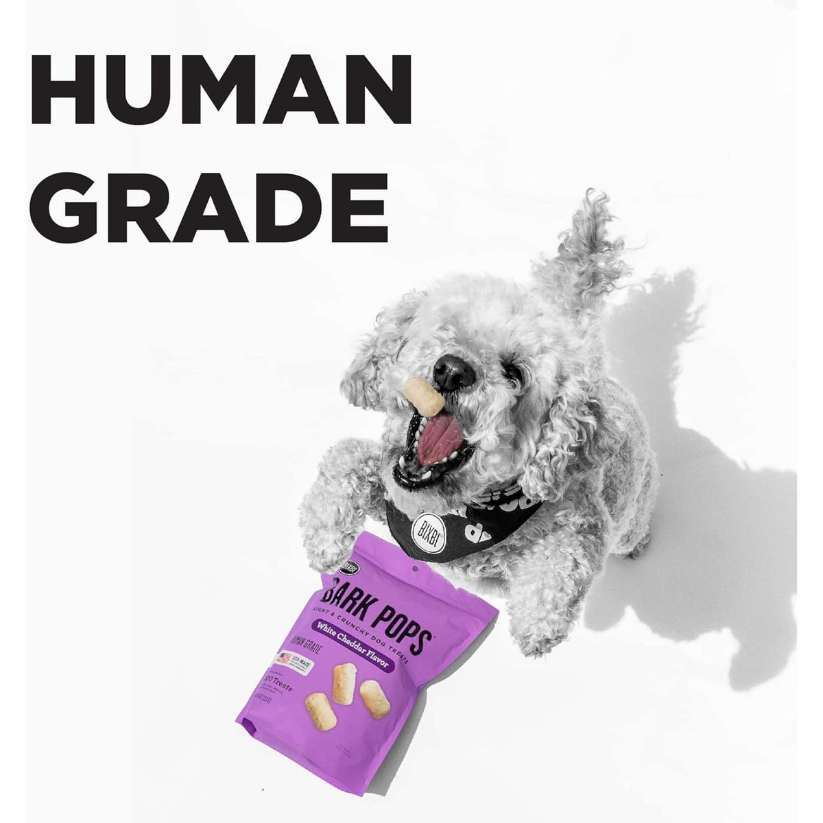 Bixbi Bark Pops White Cheddar Dog Treats
