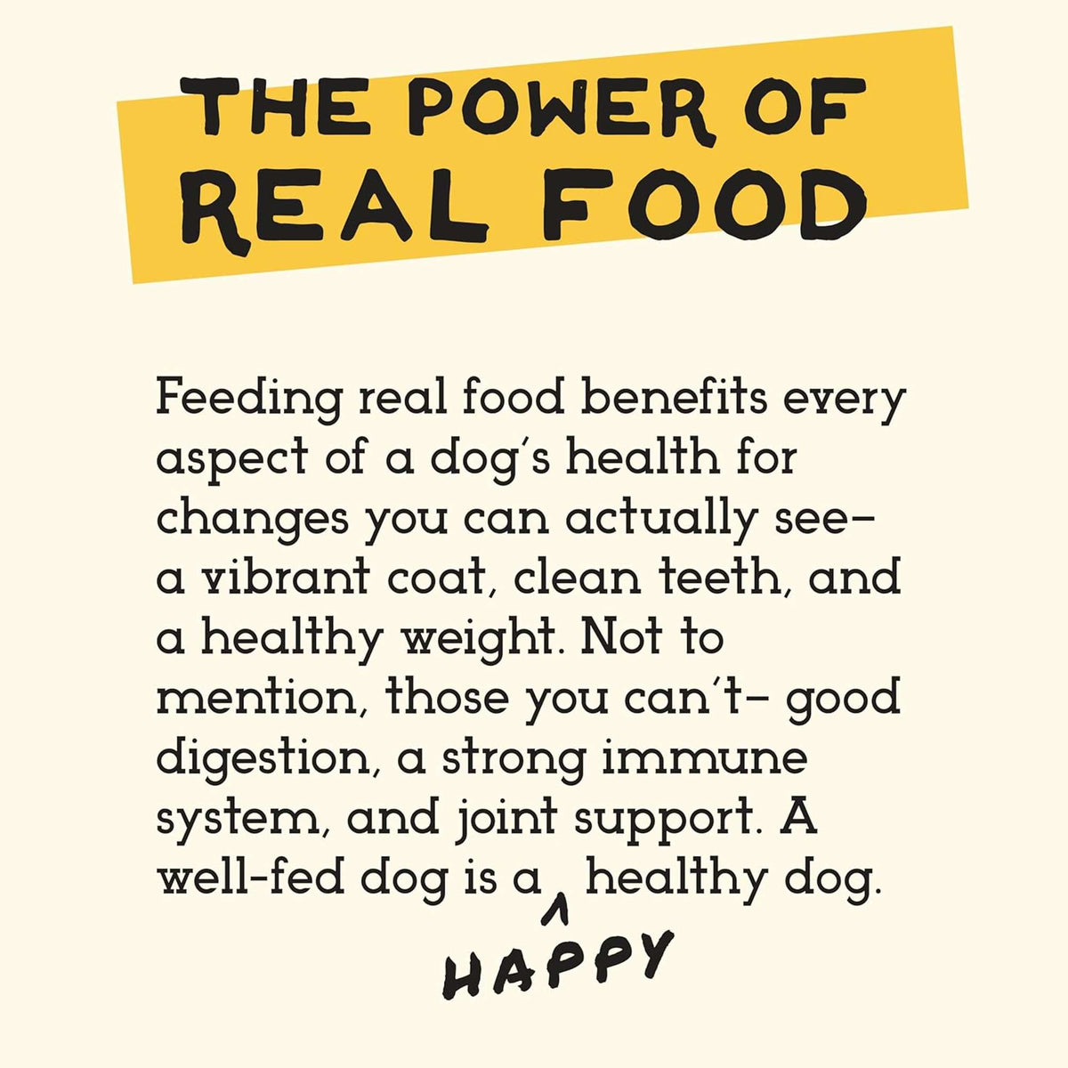 The Simple Food Project Lamb Freeze-Dried Dog Food