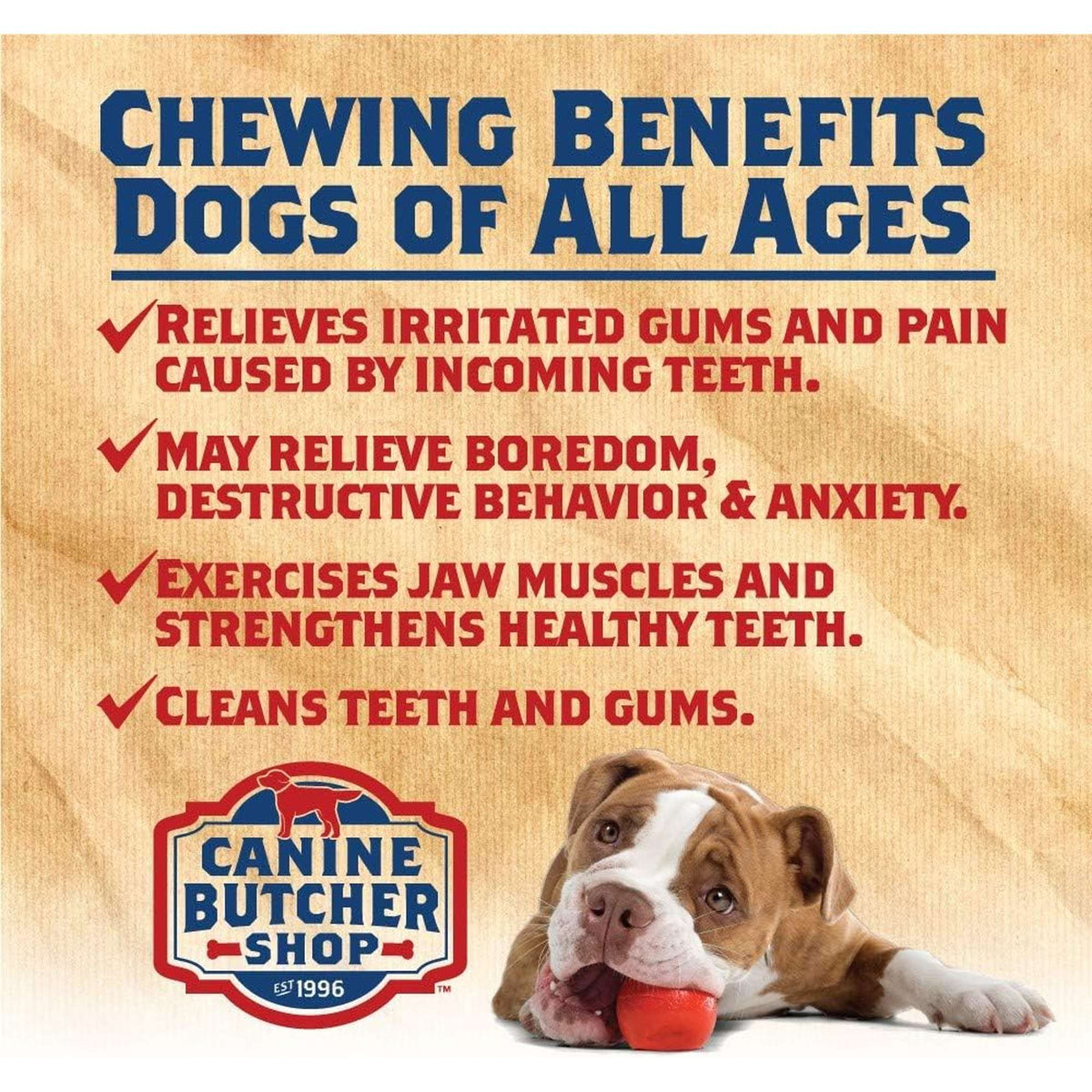 Canine Butcher Shop Grass-Fed Beef Trachea Dog Chew