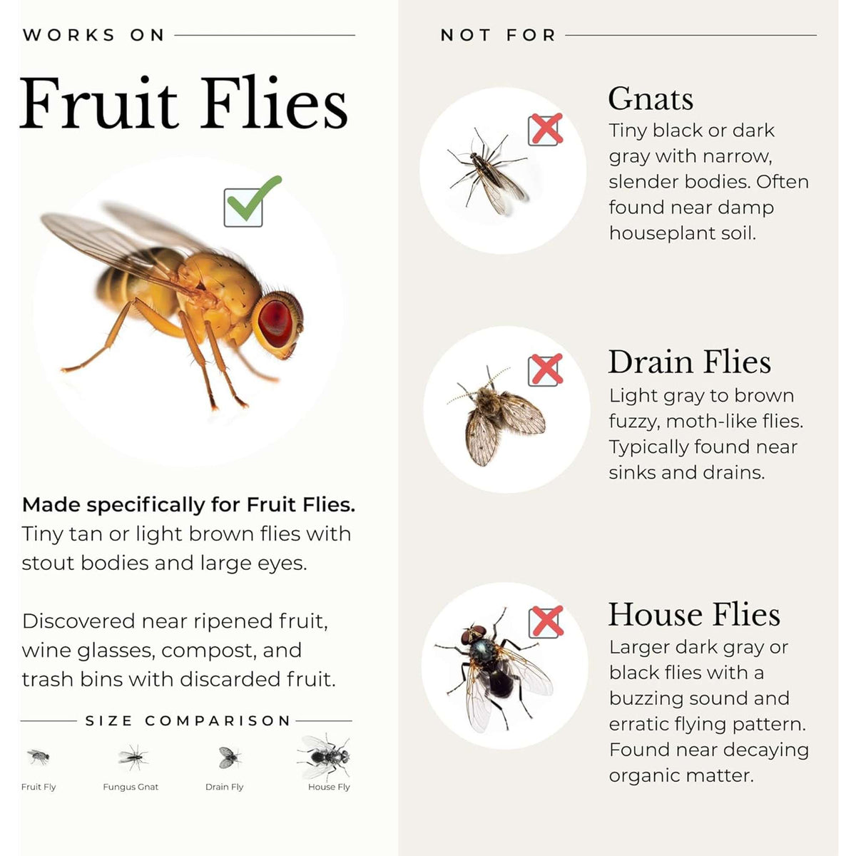Wondercide Fruit Fly Trap Home + Kitchen