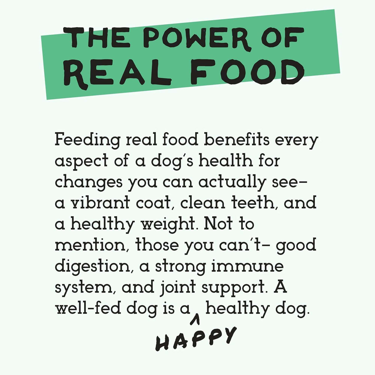 The Simple Food Project Bison Freeze-Dried Dog Food