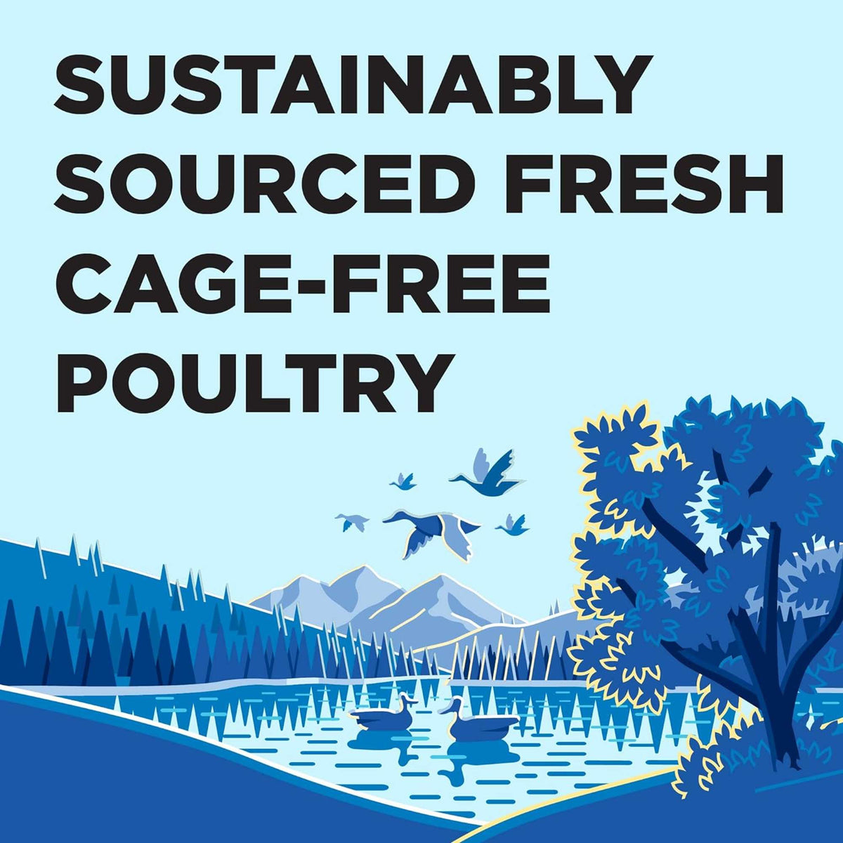 Bixbi Liberty Grain Free Game Bird Feast Canned Dog Food