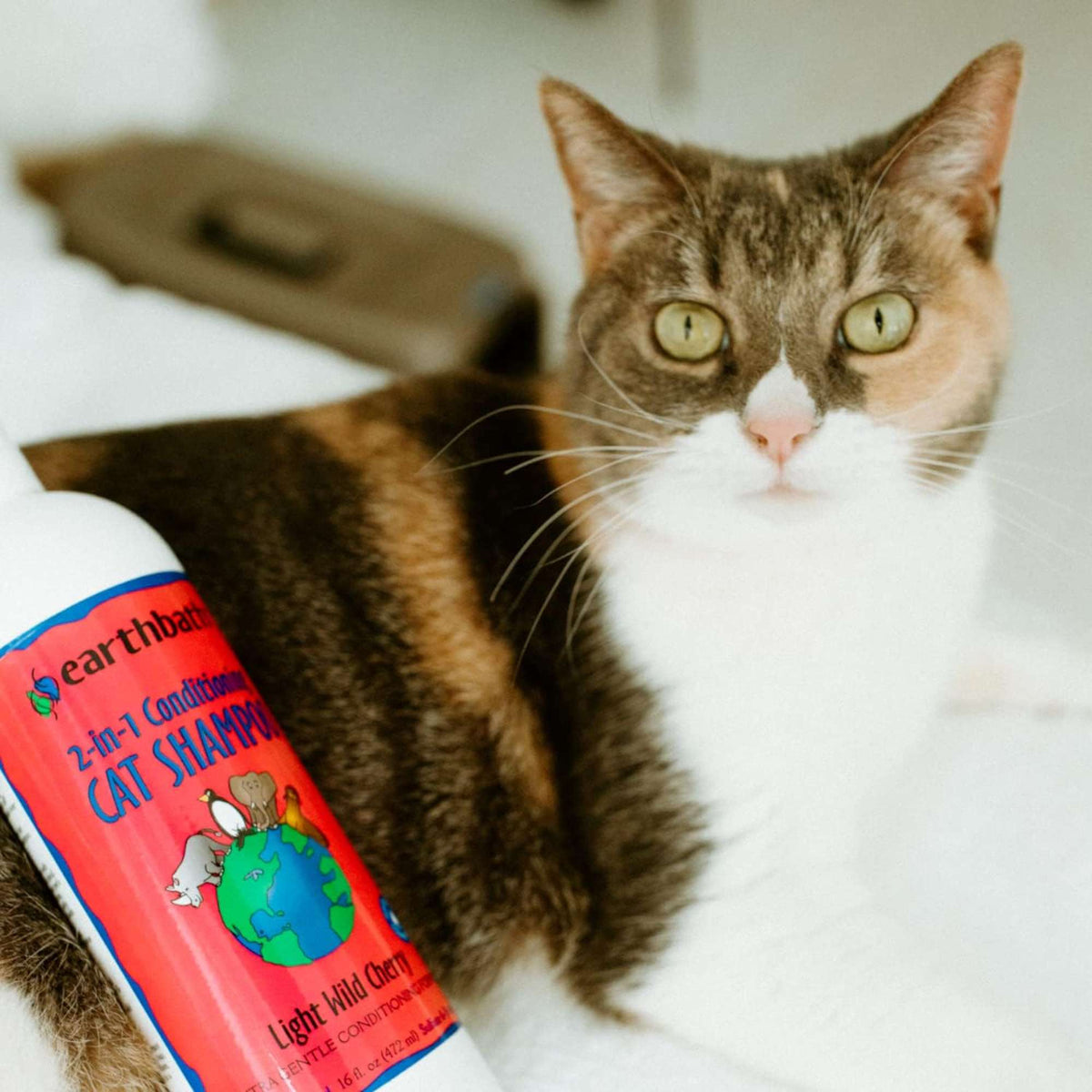 Earthbath 2 In 1 Cat Conditioning Shampoo Light Wild Cherry