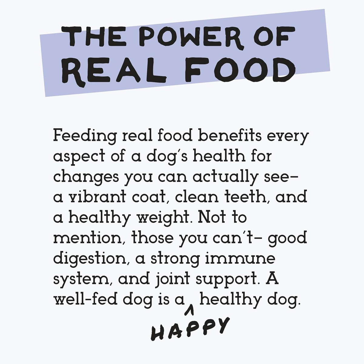 The Simple Food Project Duck Freeze-Dried Dog Food