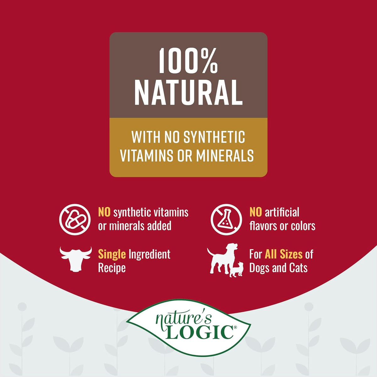 Nature&#39;s Logic Dehydrated Beef Bone Broth for Dogs &amp; Cats
