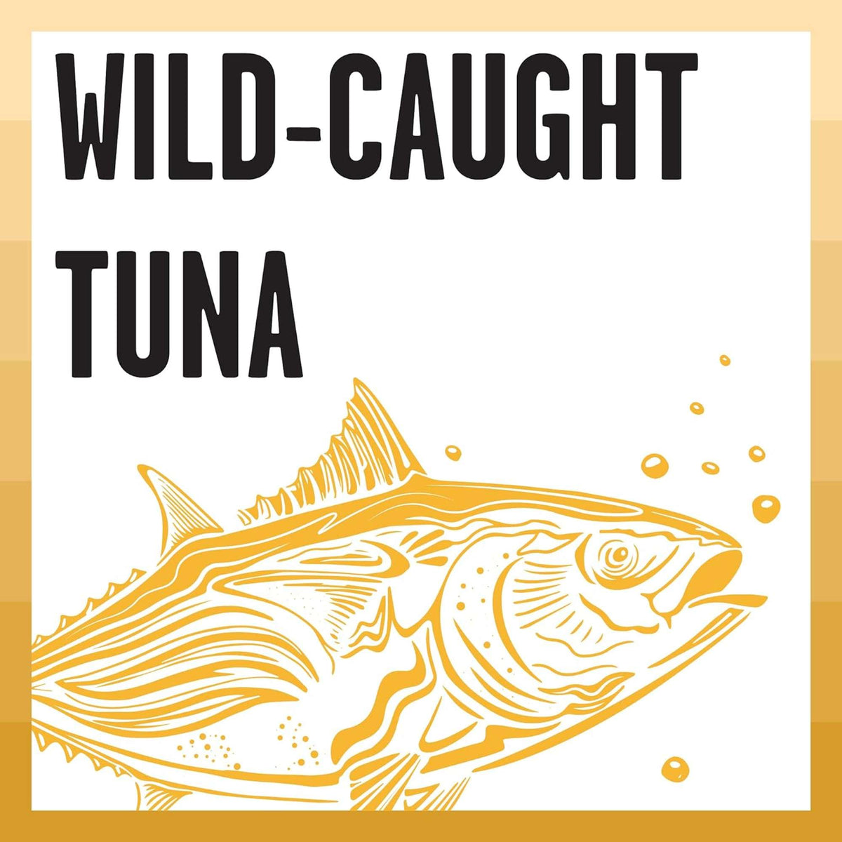 Bixbi Rawbble Paté Grain Free Tuna Canned Cat Food