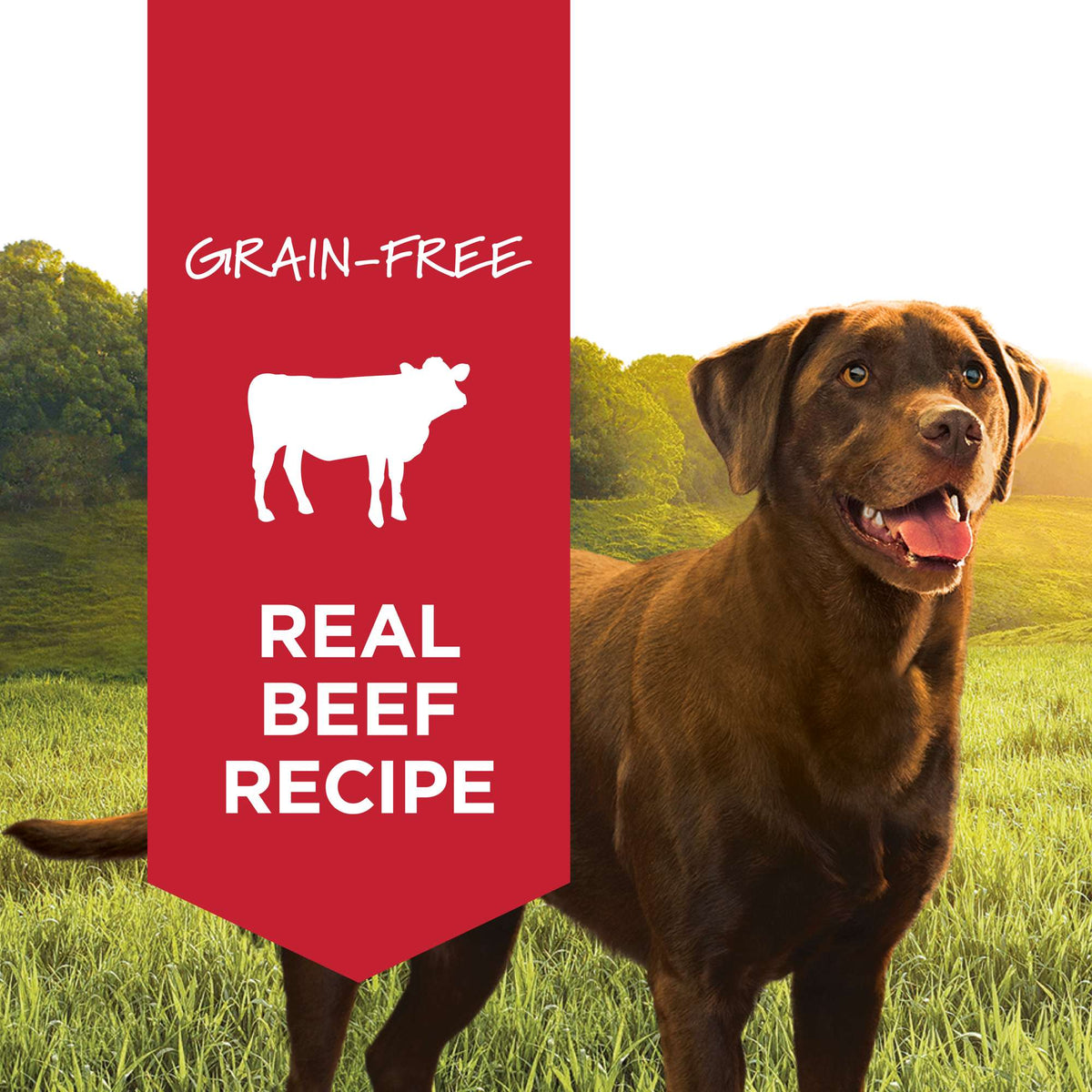 Instinct Original Grain-Free Real Beef Recipe Canned Dog Food