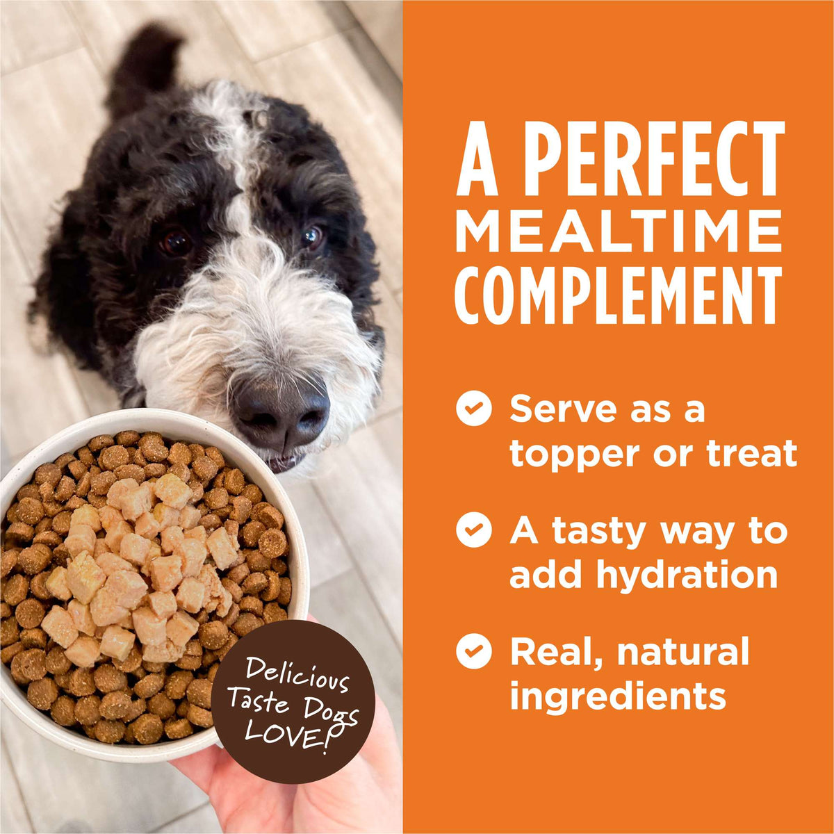 Instinct Healthy Cravings Grain-Free Real Beef Recipe Wet Dog Food Topper