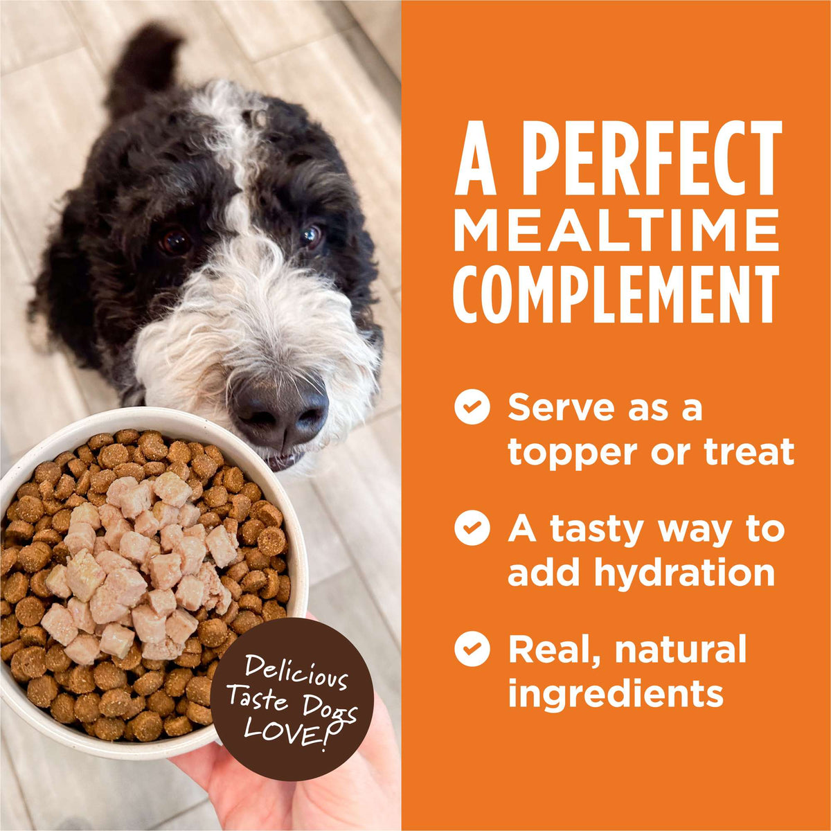 Instinct Healthy Cravings Grain-Free Real Chicken Recipe Wet Dog Food Topper