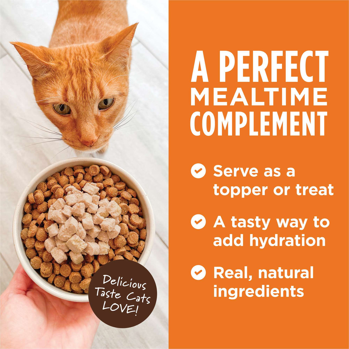 Instinct Healthy Cravings Grain-Free Real Chicken Recipe in Savory Gravy Wet Cat Food Topper