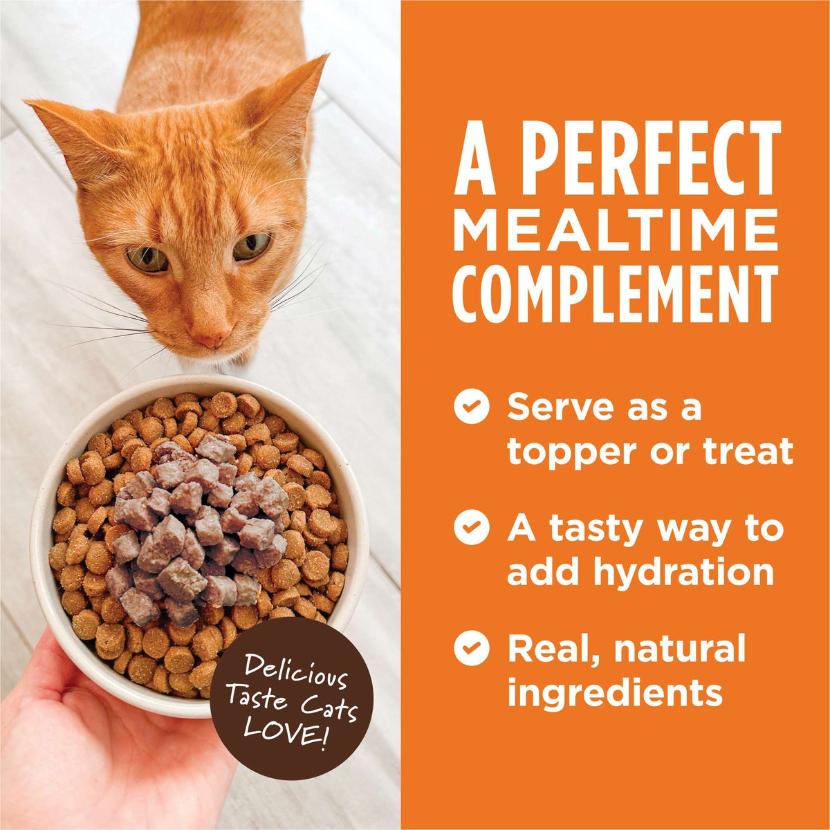 Instinct Healthy Cravings Grain-Free Real Rabbit Recipe in Savory Gravy Wet Cat Food Topper