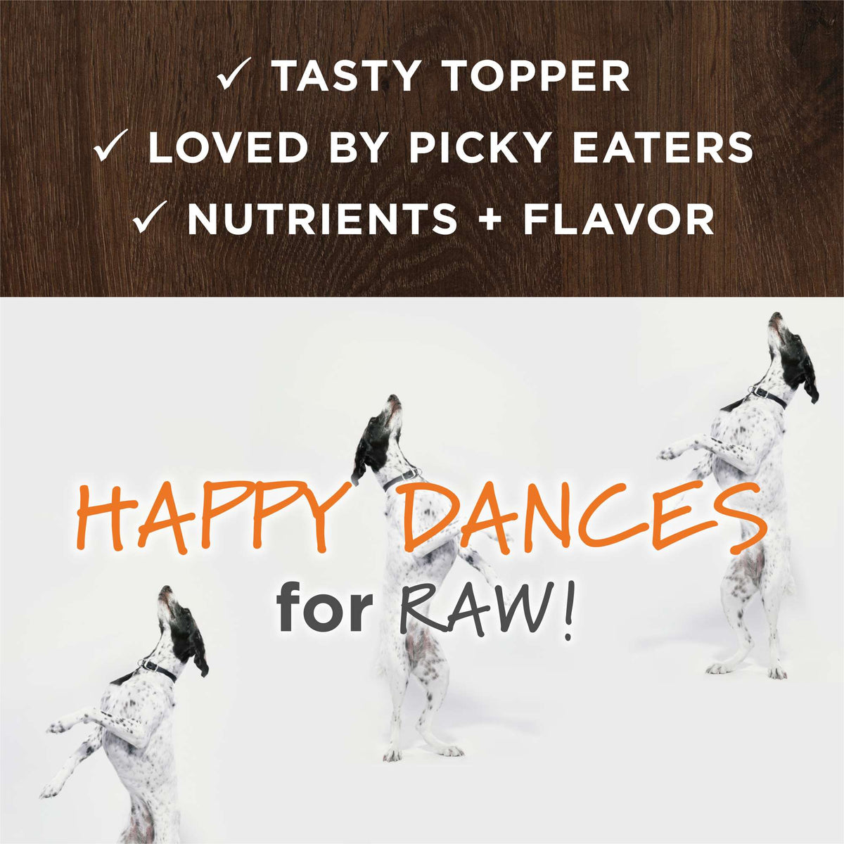 Instinct Frozen Raw Boost Mixers Grain-Free Skin &amp; Coat Health Recipe Dog Food Topper