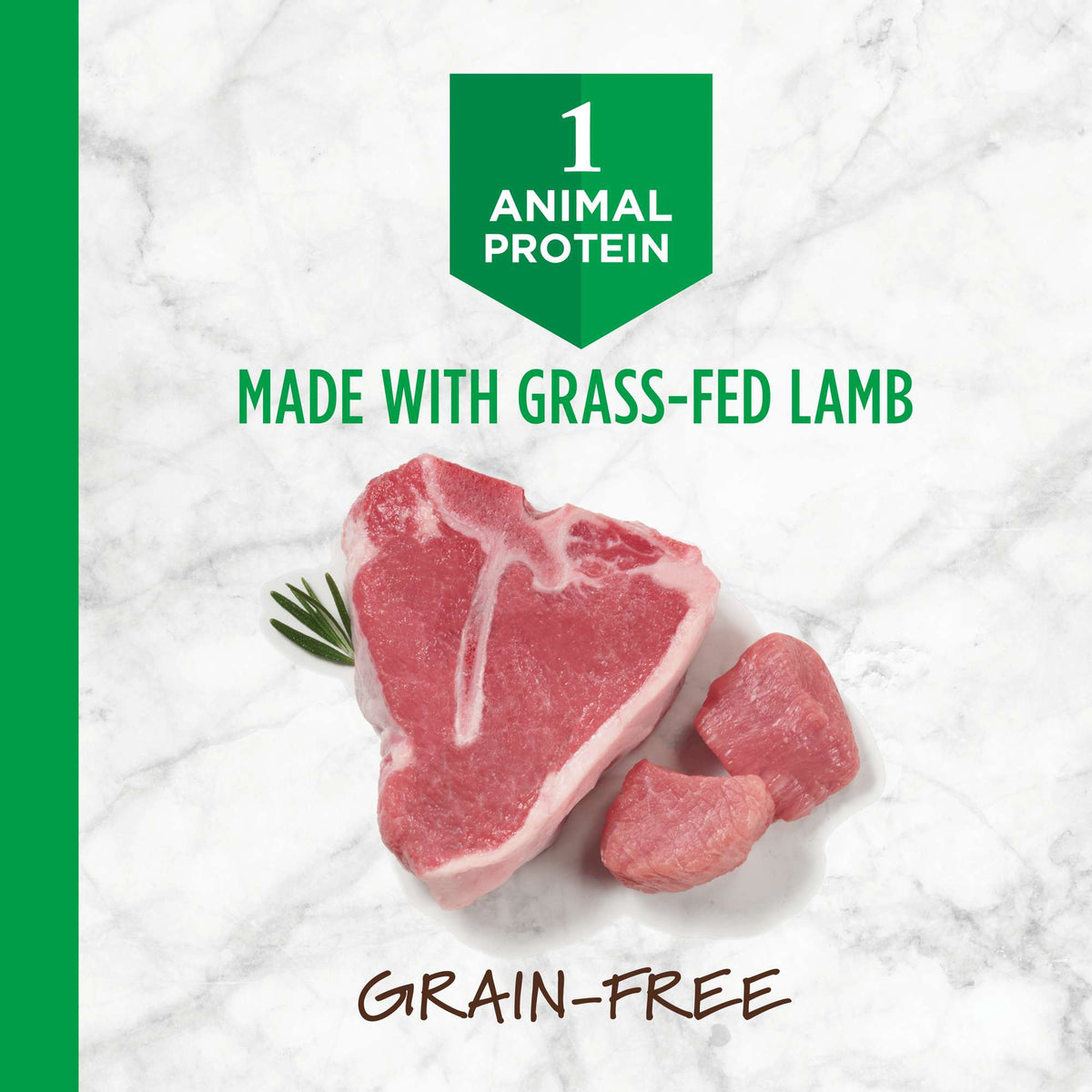 Instinct Limited Ingredient Diet Grain-Free Recipe with Real Lamb Dry Dog Food