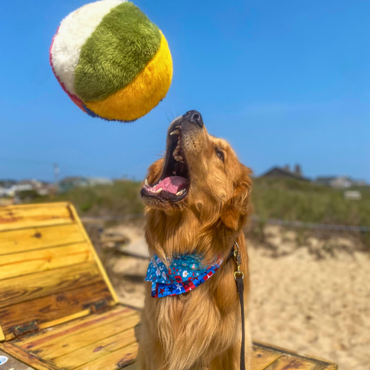 Fluff &amp; Tuff Beach Ball Dog Toy