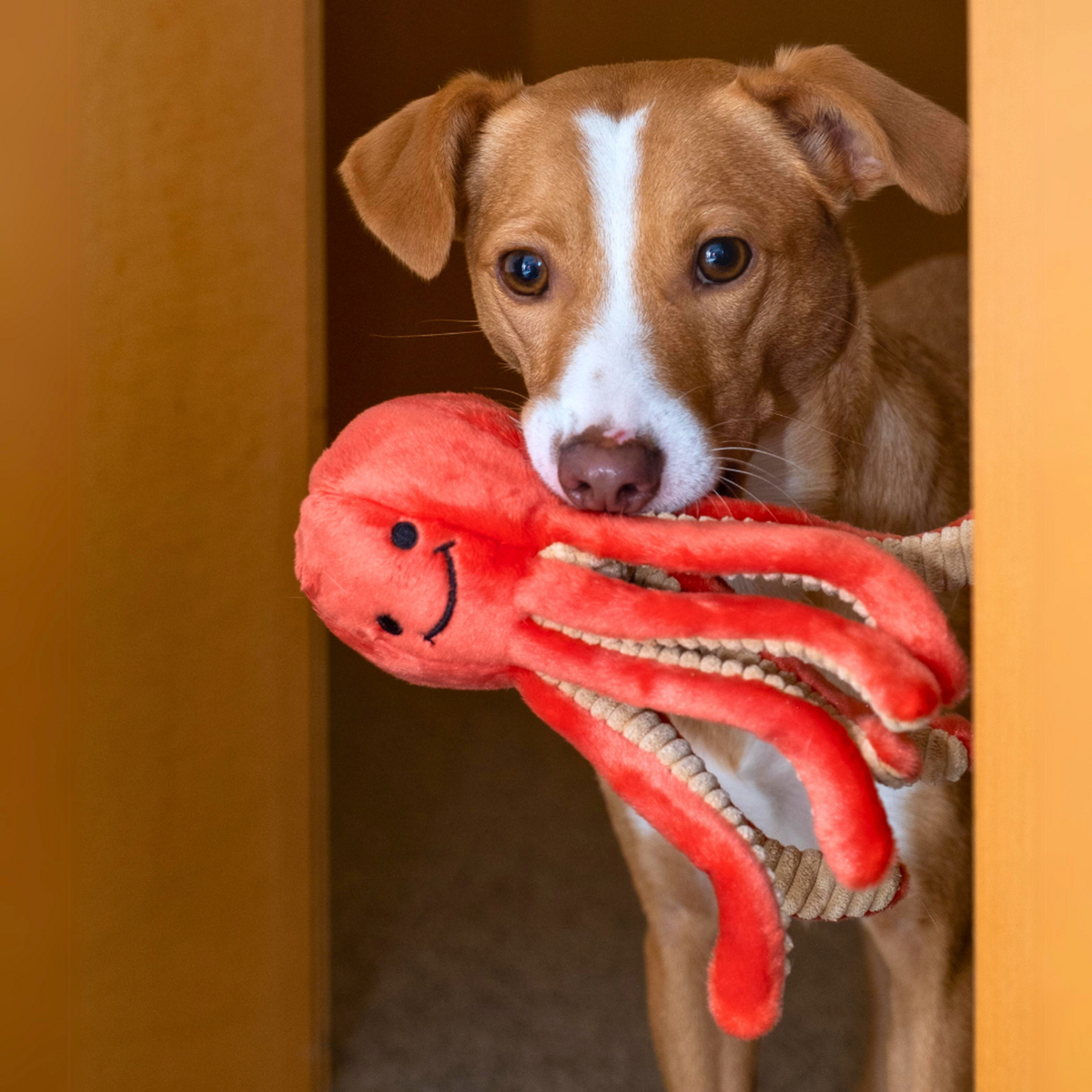 Fluff &amp; Tuff Squirt Octopus Dog Toy