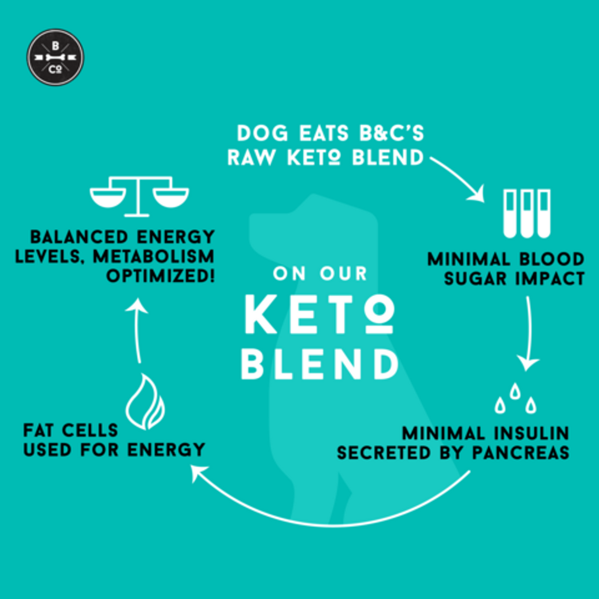 The Bones &amp; Co Frozen Raw 2:1 Keto Cube Barkin&#39; Beef Dog Food