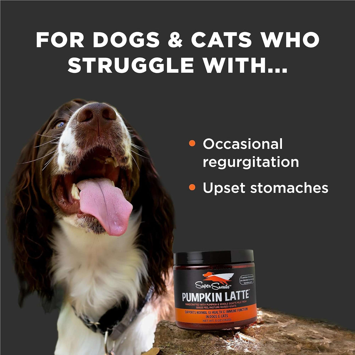 Super Snouts Pumpkin Latte Supplement for Dogs and Cats