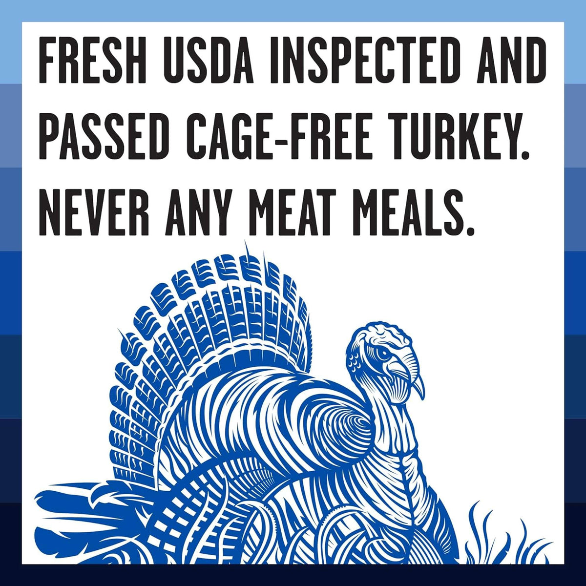 Bixbi Rawbble Freeze-Dried Raw Coated Grain Free Turkey Dog Food