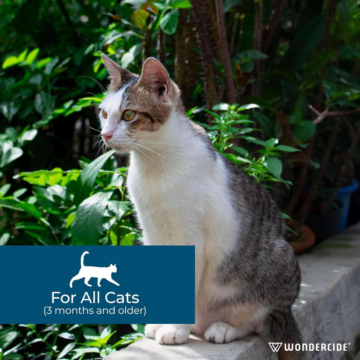 Wondercide Flea & Tick Spot On Peppermint Scent for Cats