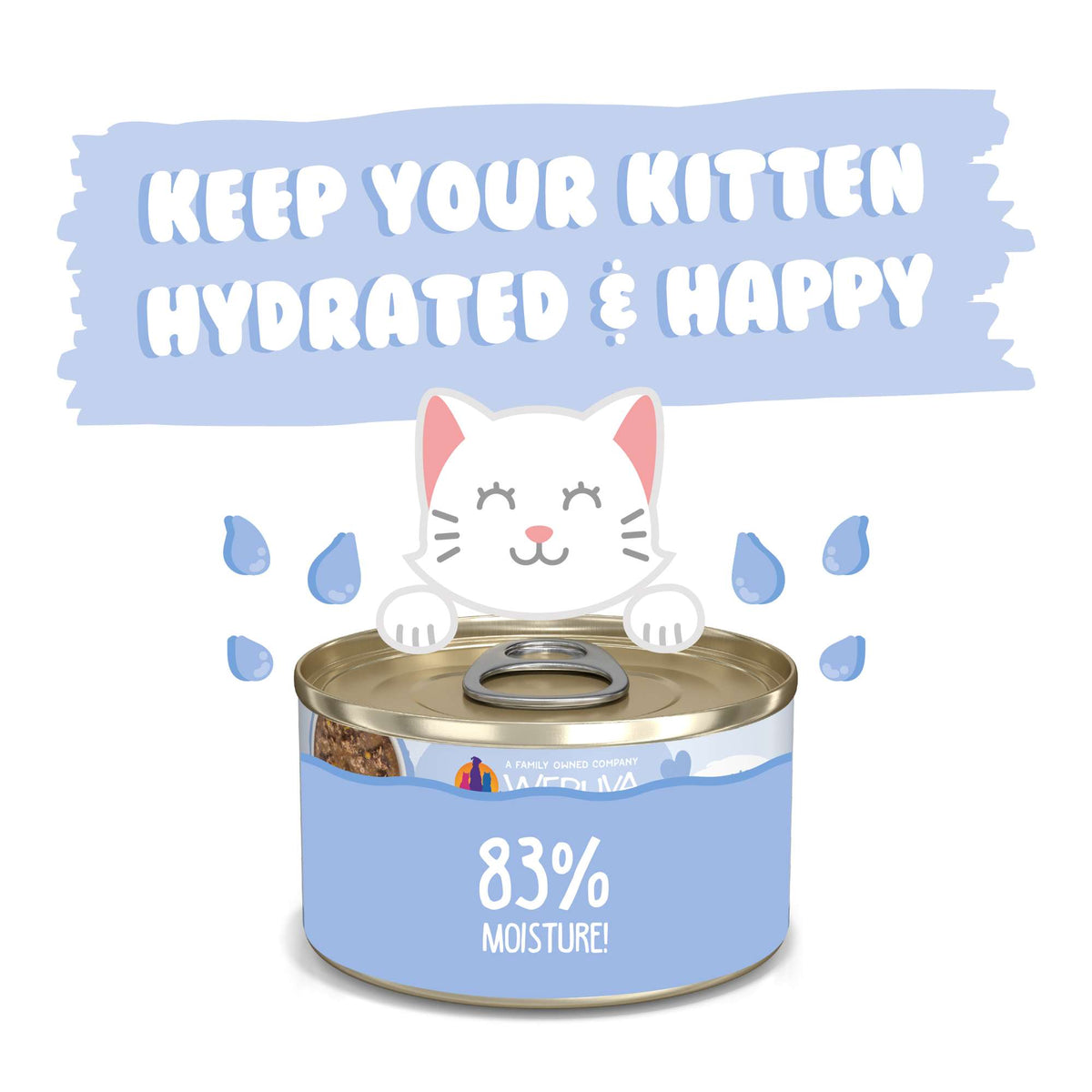 Weruva Kitten Chicken &amp; Pumpkin in Gravy Canned Cat Food