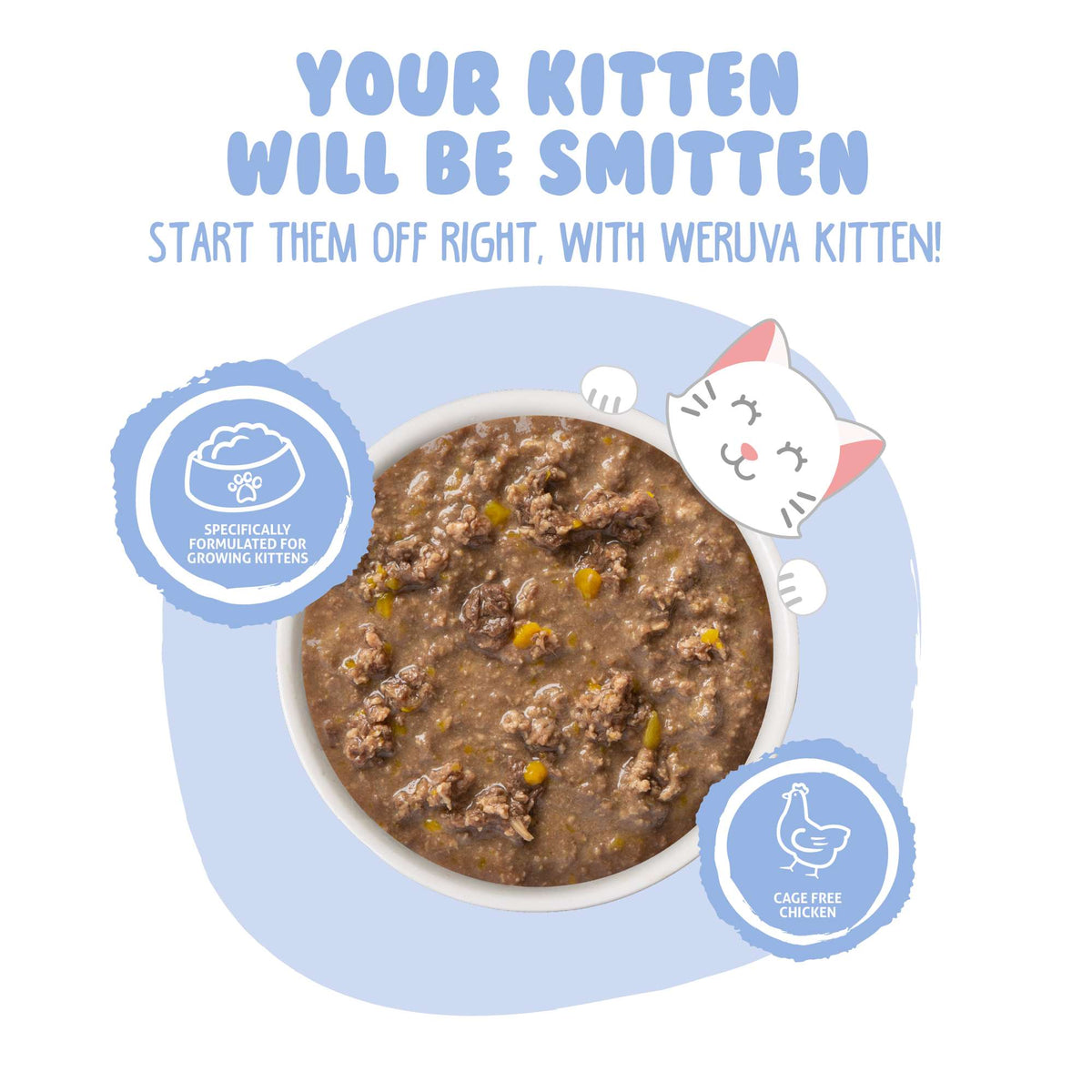 Weruva Kitten Chicken &amp; Pumpkin in Gravy Canned Cat Food