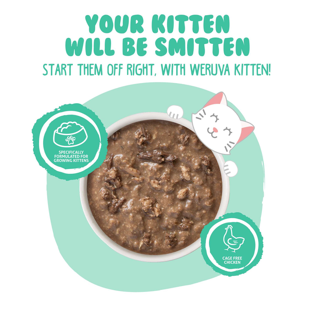 Weruva Kitten Chicken &amp; Tuna in Gravy Canned Cat Food