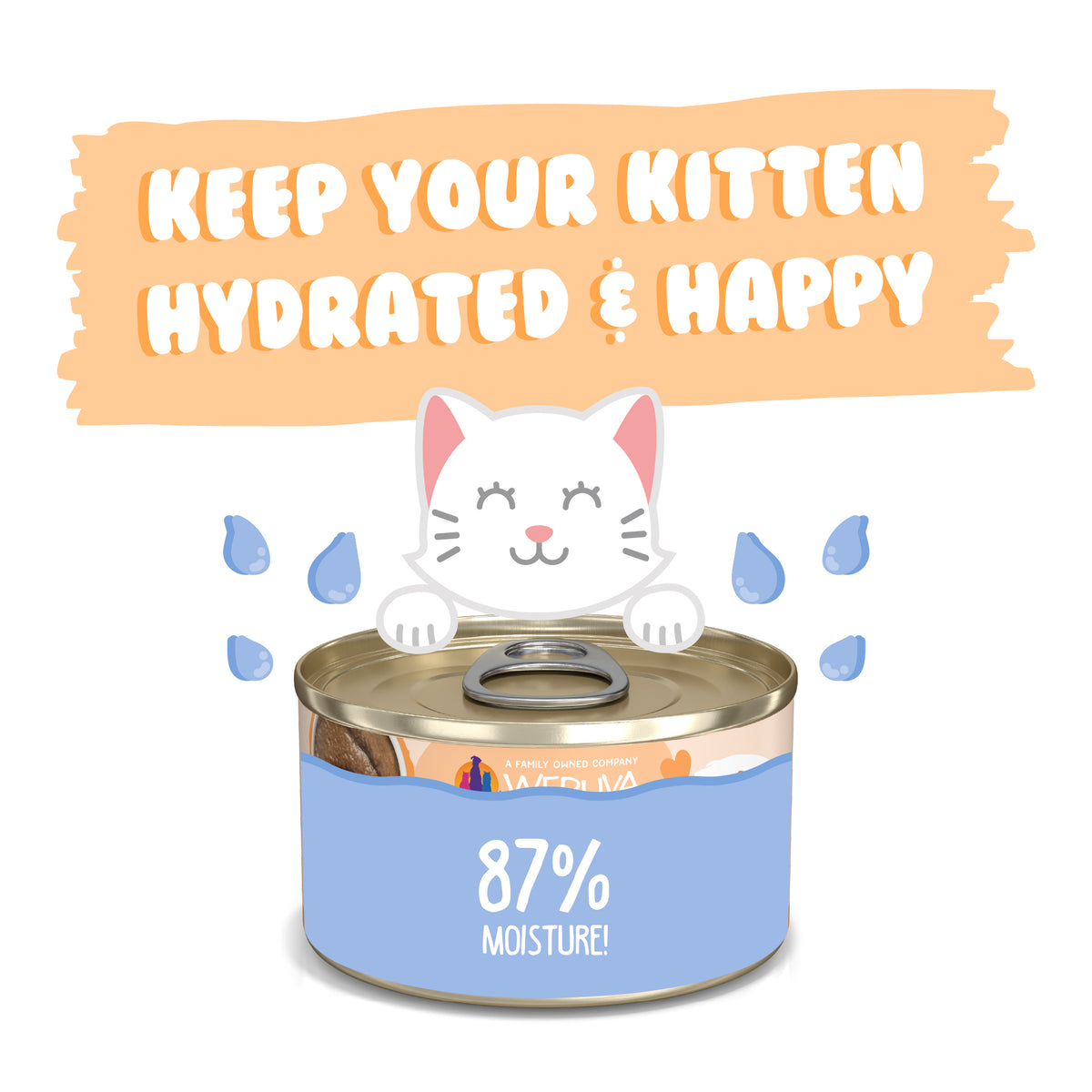 Weruva Kitten Tuna &amp; Salmon Purée Canned Cat Food