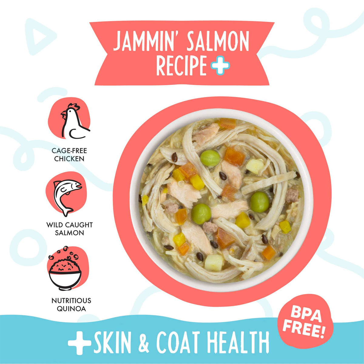 Weruva Meals N&#39; More Jammin&#39; Salmon Recipe+ Chicken &amp; Salmon in Pumpkin Soup Dog Food Cup