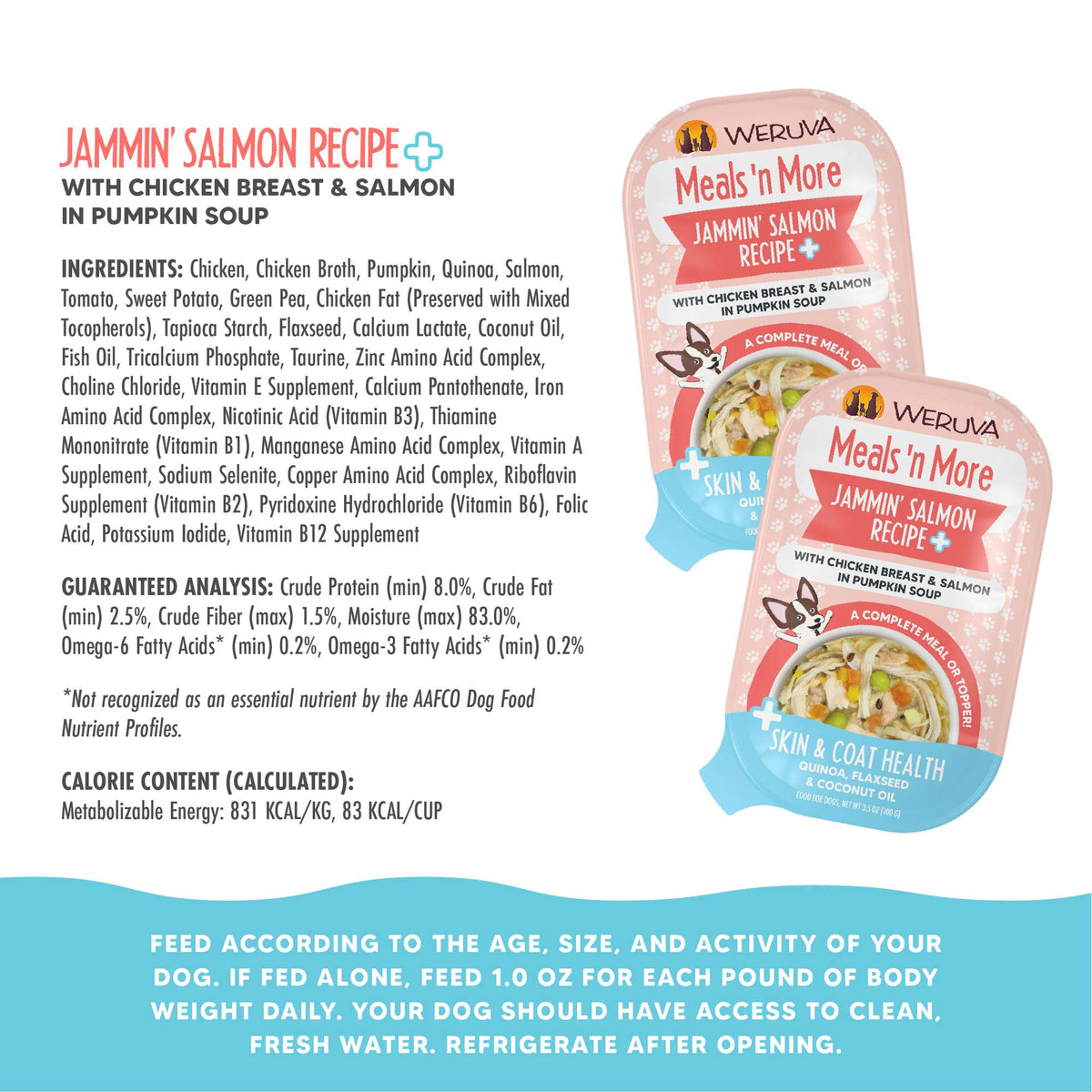Weruva Meals N&#39; More Jammin&#39; Salmon Recipe+ Chicken &amp; Salmon in Pumpkin Soup Dog Food Cup