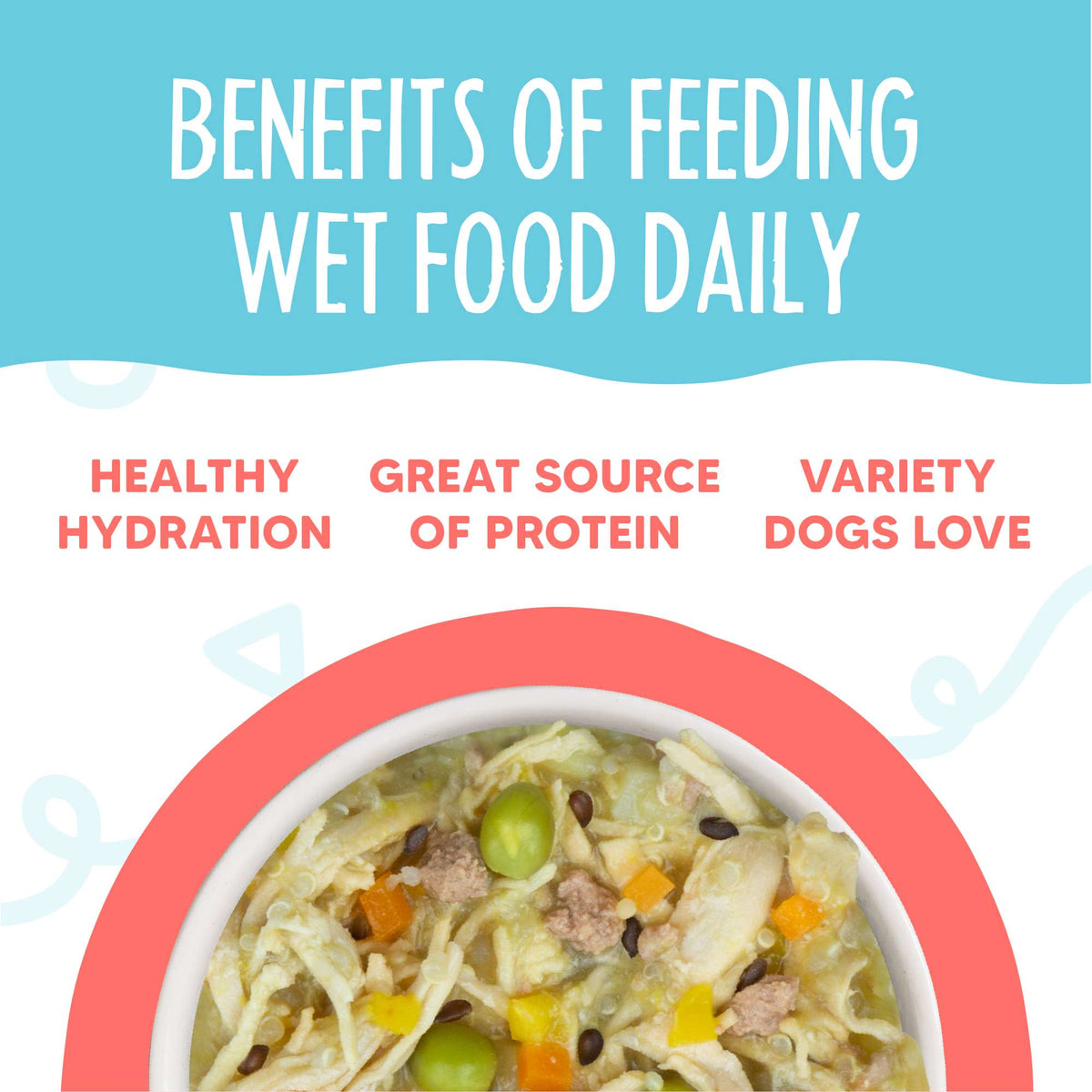 Weruva Meals N&#39; More Jammin&#39; Salmon Recipe+ Chicken &amp; Salmon in Pumpkin Soup Dog Food Cup