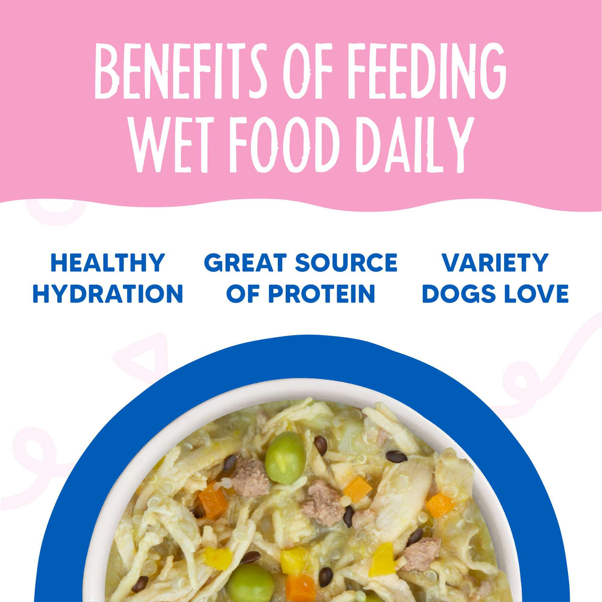 Weruva Meals &#39;n More Grandma&#39;s Chicken Soup Recipe+ Chicken, Pumpkin &amp; Veggies Dog Food Cup