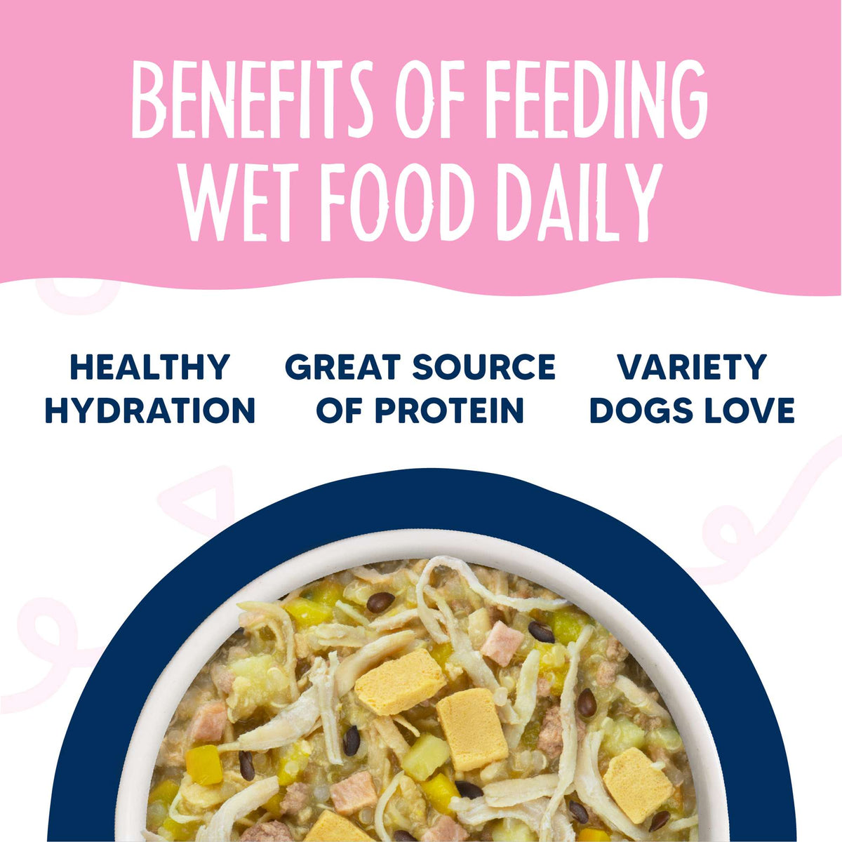Weruva Meals &#39;n More Bed &amp; Breakfast Recipe+ Chicken, Egg, Pumpkin &amp; Ham Dog Food Cup