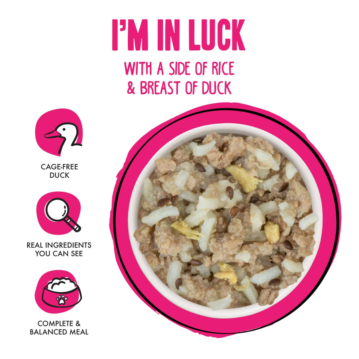 BFF I&#39;m In Luck Rice &amp; Duck Dog Food Cup