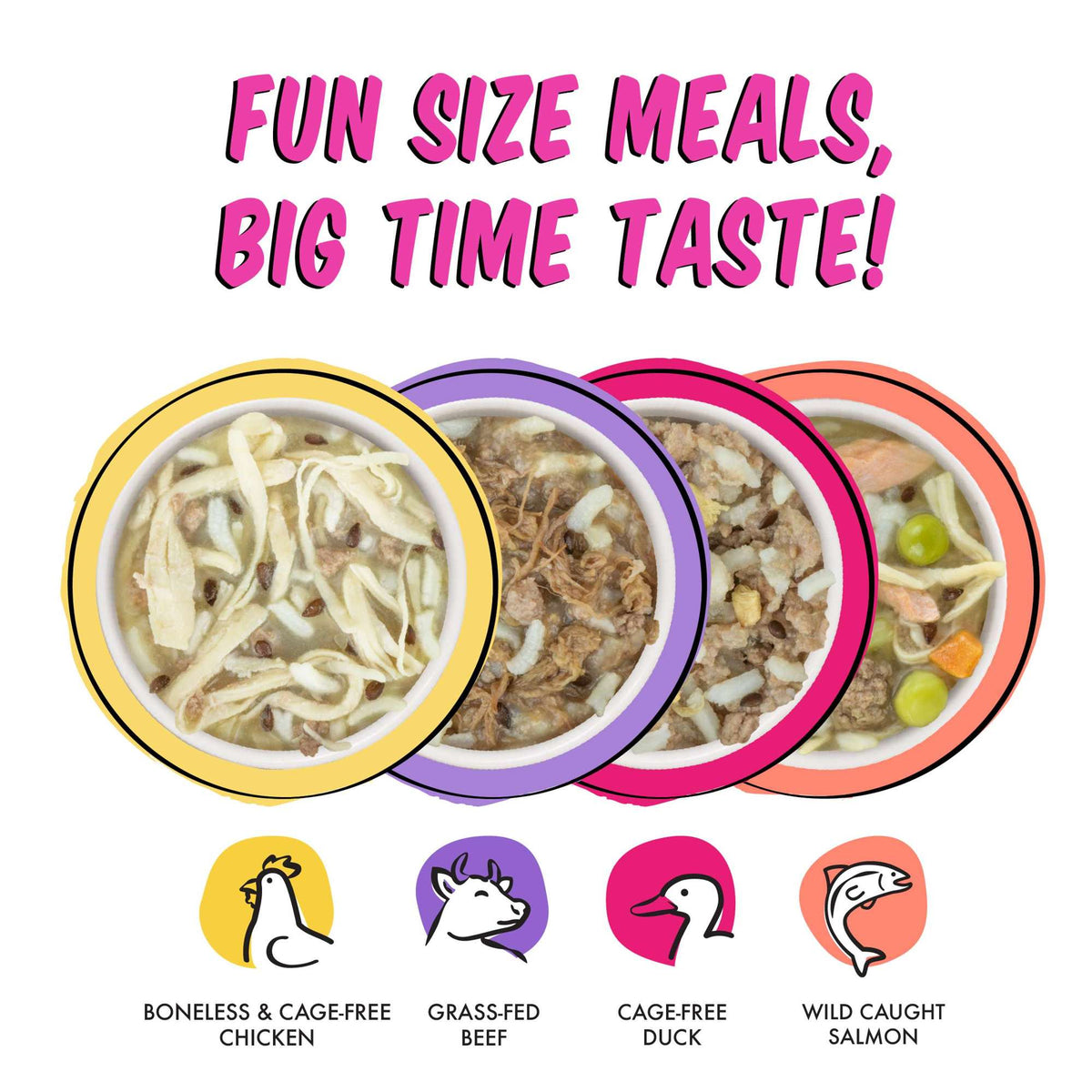 BFF Fun Size Sampler Variety Pack Dog Food Cups